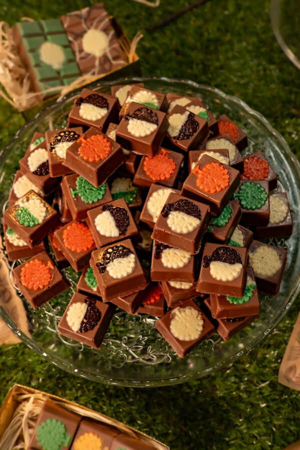 Carreaux de Chocolat Fourrés