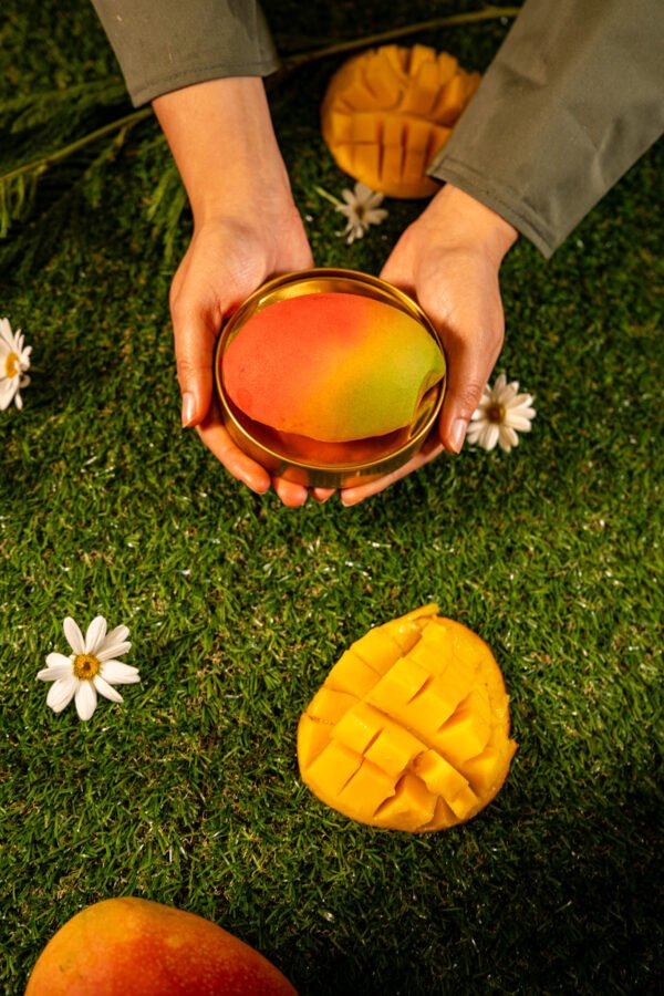 Trompe-l’œil mangue